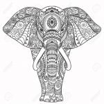 Elefante completo